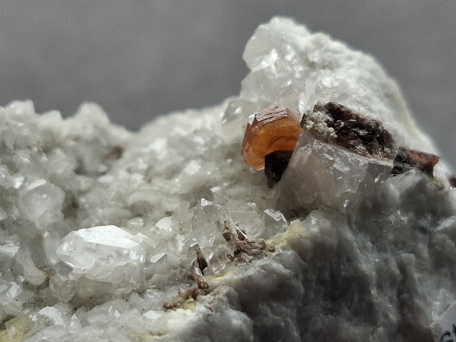 Hydroxylbastnäsite-(Ce), Allanite-(Ce)
FoV ca. 2 x 1,5 cm
(Autor: Volkmar Stingl)