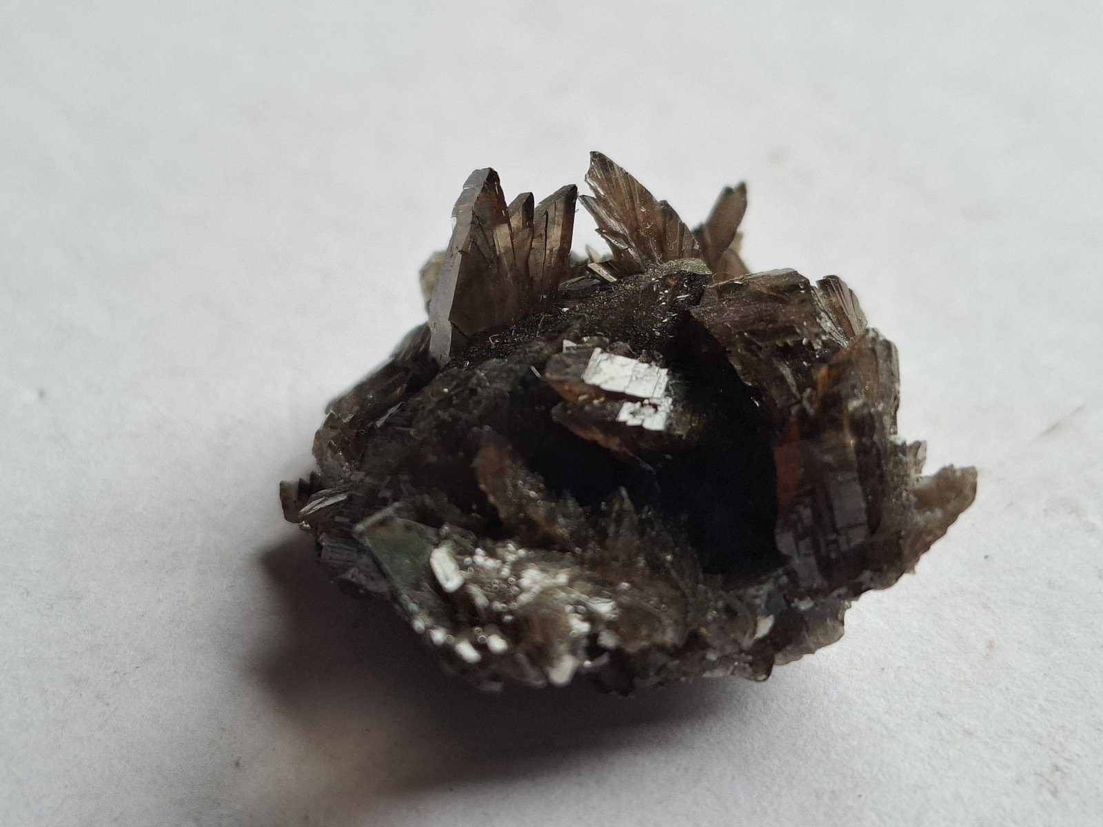 Axinite-(Mn)
2,5 x 2,3 cm
(Autor: Volkmar Stingl)