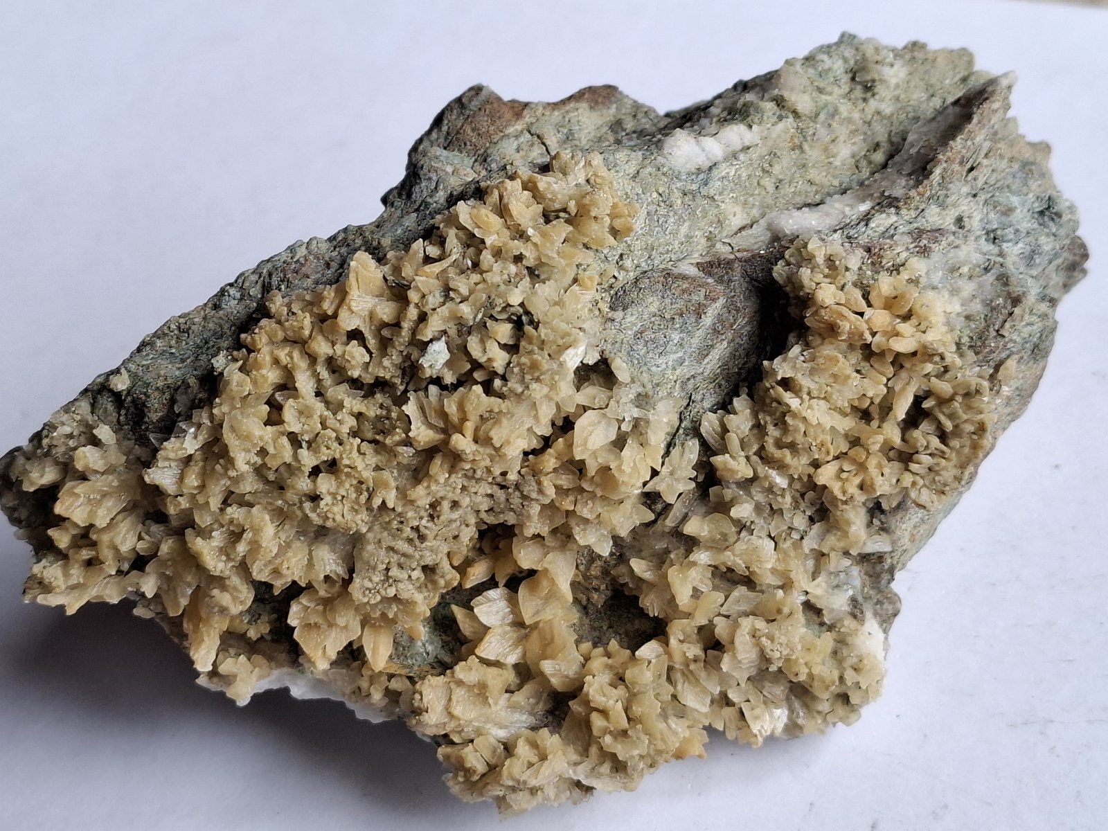 Gypsum
14 x 7 cm
(Autor: Volkmar Stingl)
