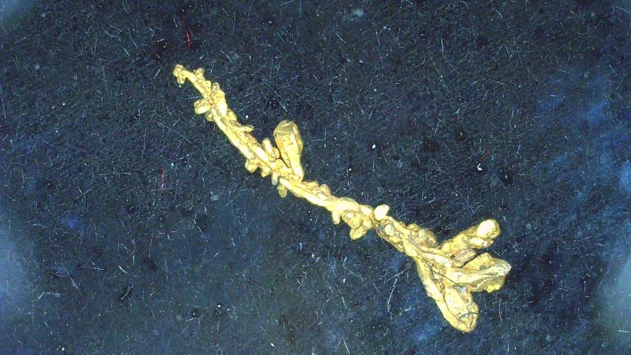Gold
0,6 x 0,1 mm
(Autor: Volkmar Stingl)