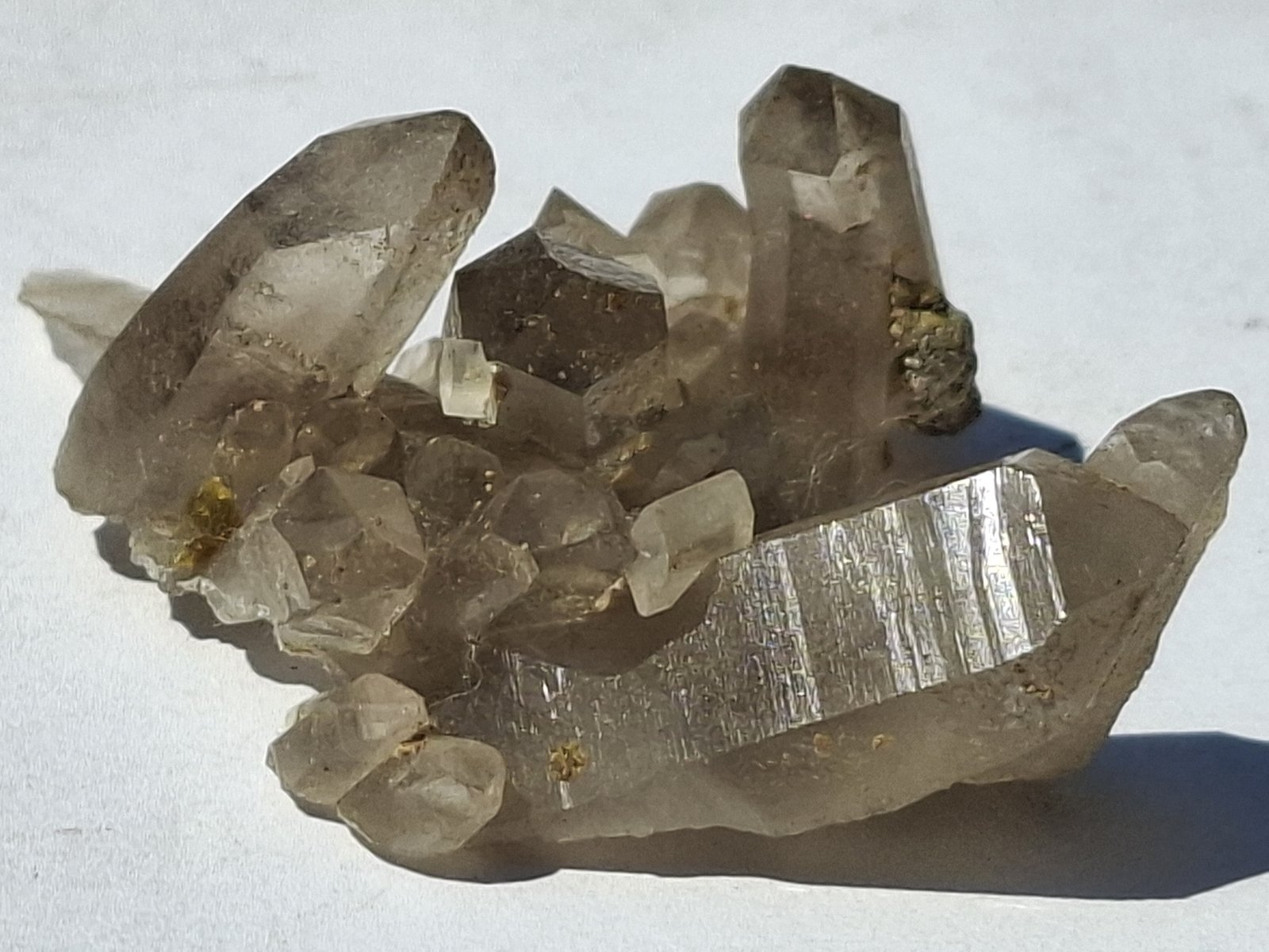 Bertrandite, Quartz (variety smokey quartz)
5,5 x 4 cm
(Autor: Volkmar Stingl)