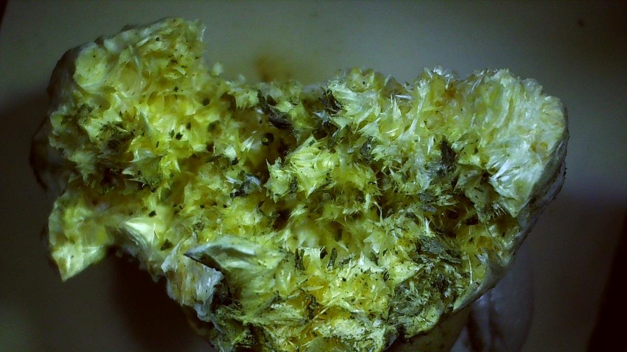 Pickeringite
2 x 1 cm
(Autor: Volkmar Stingl)