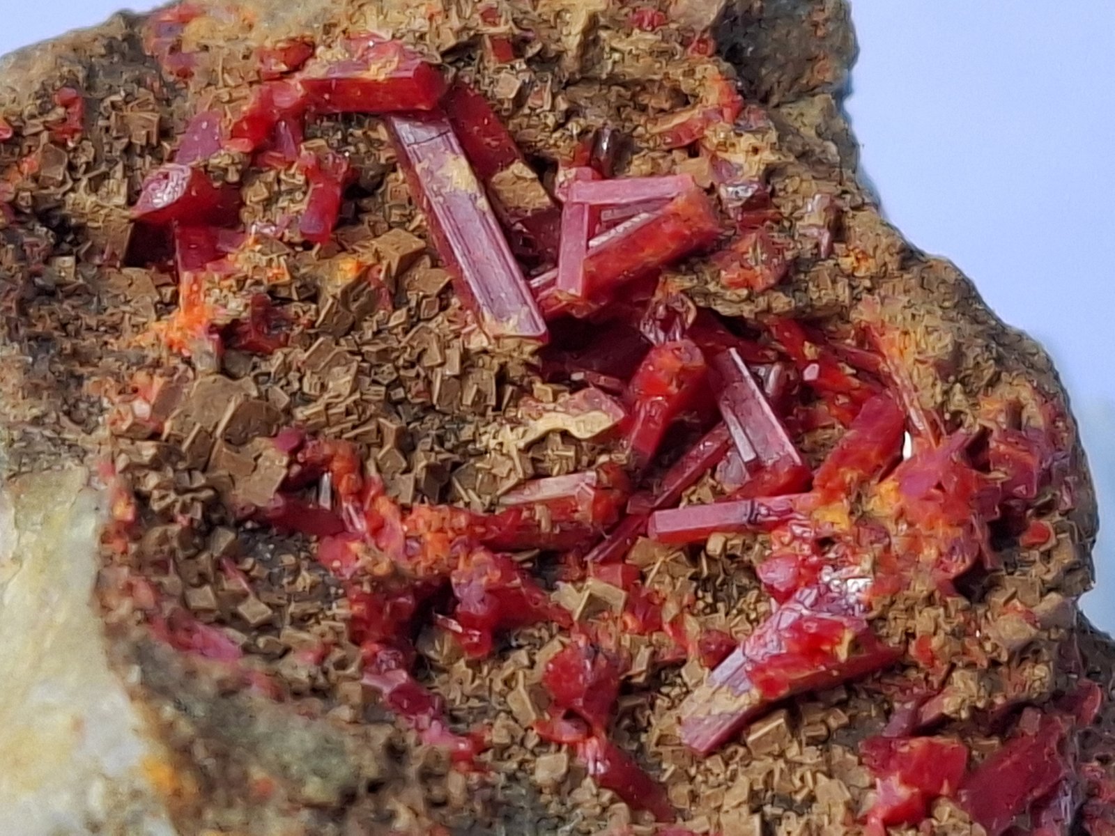 Realgar, Siderite
ca. 2,5 x 2 cm
(Autor: Volkmar Stingl)