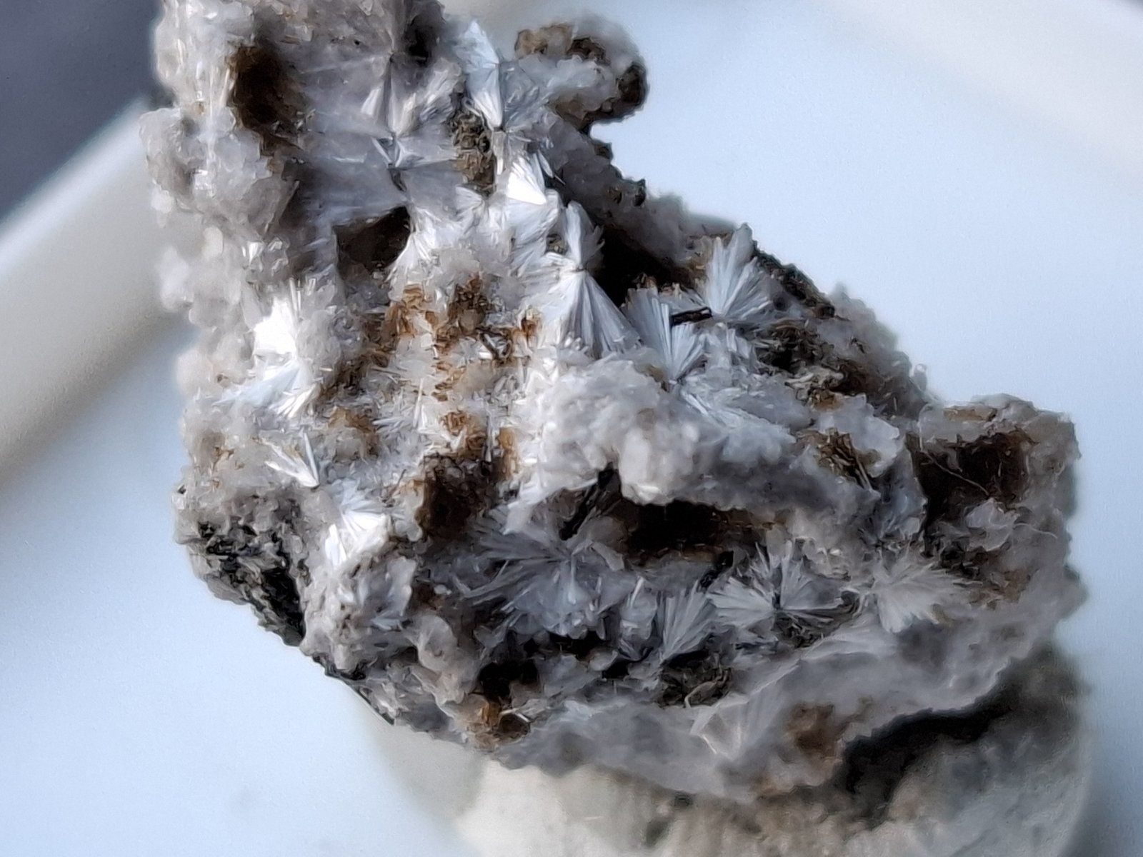 Leifite
1,8 x 1,4 cm
(Autor: Volkmar Stingl)