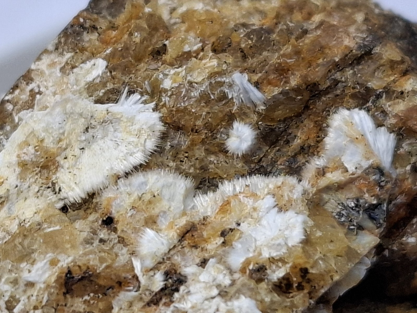 Uralolite, Moraesite
3 x 2,5 cm
(Autor: Volkmar Stingl)