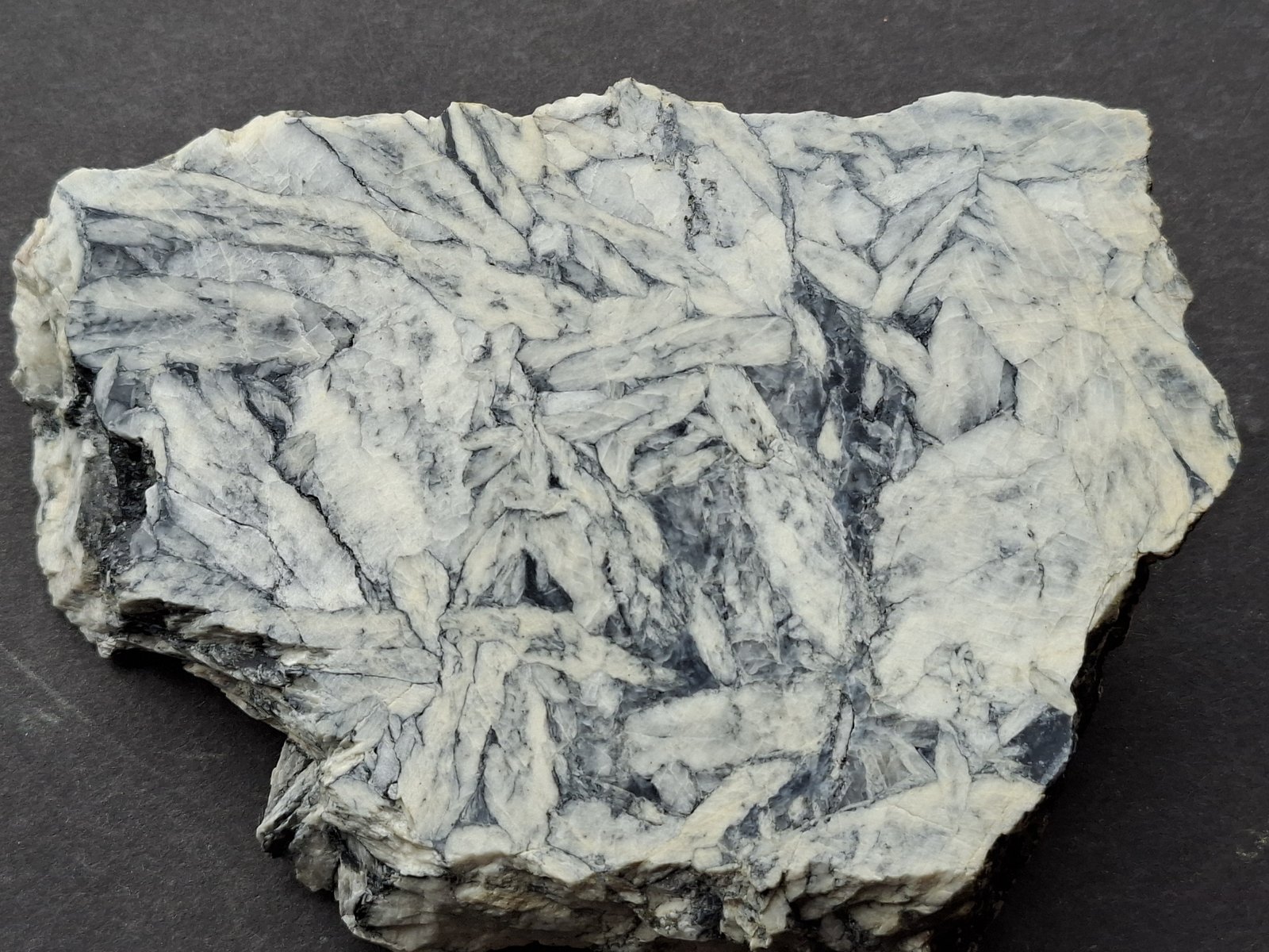 Magnesite (variety Pinolite)
12 x 8,5 cm
(Autor: Volkmar Stingl)