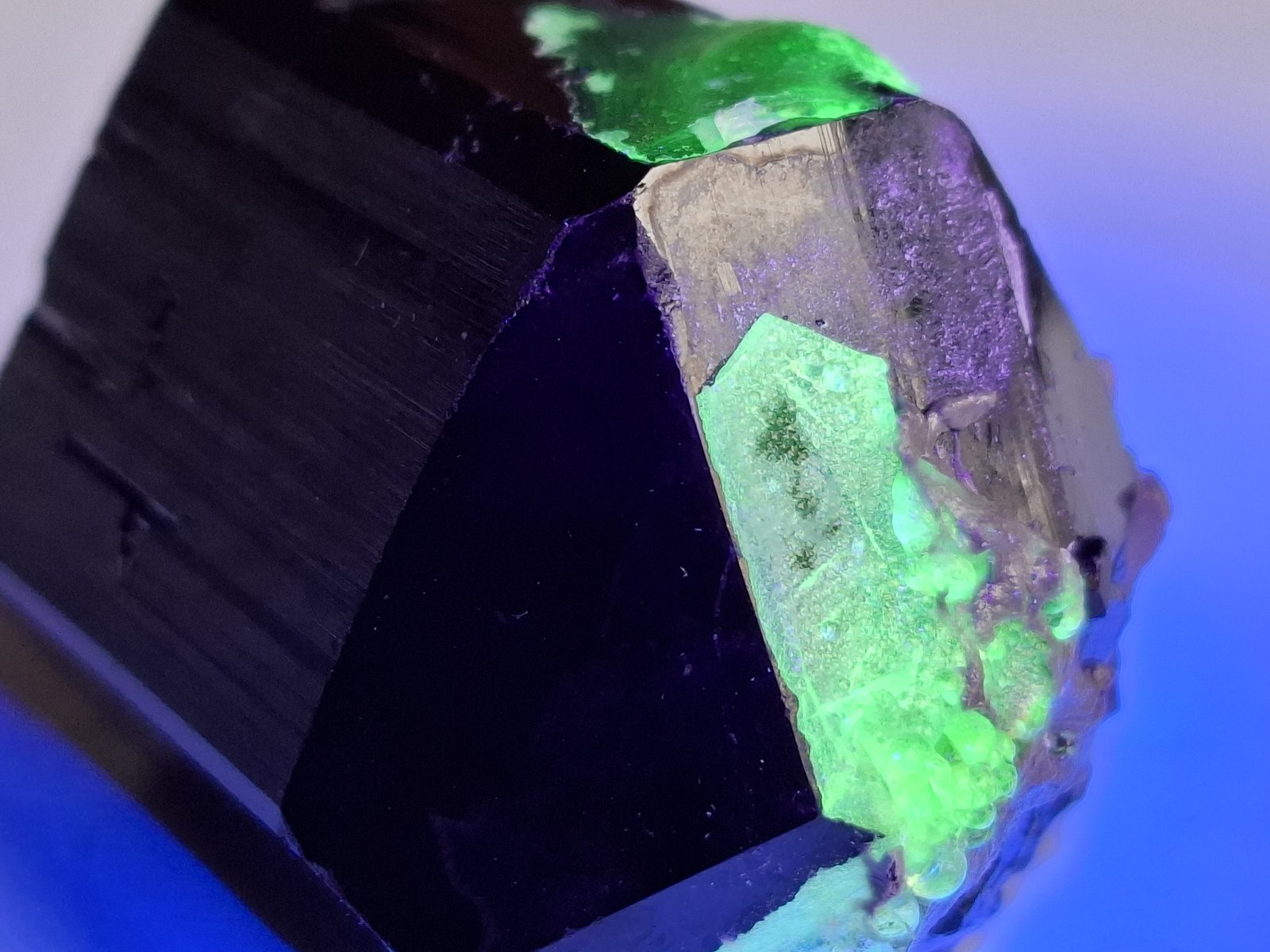 Schorl, Opal (variety hyalite)
4,5 x 3,5 cm
(Autor: Volkmar Stingl)