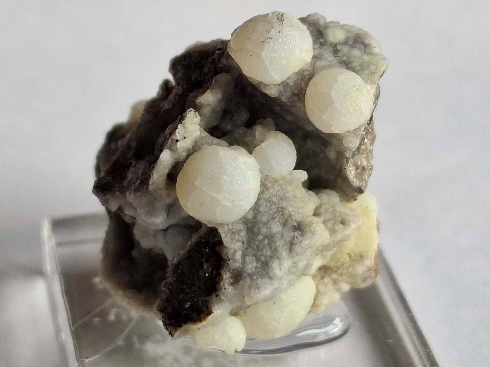 Calcite and Clinoptilolite-Ca
2,5 x 2 cm
(Autor: Volkmar Stingl)