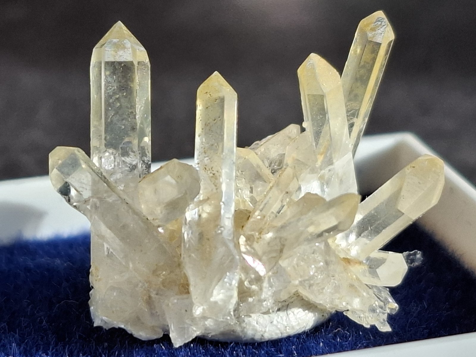 Quartz (variety rock crystal)
2,5 x 1,5 cm
(Autor: Volkmar Stingl)
