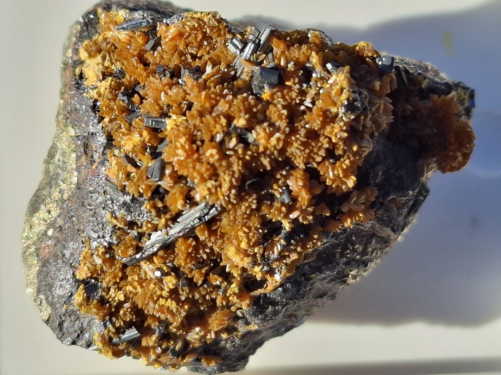 Hutchinsonite, Orpiment
3,5 x 2,5 cm
(Autor: Volkmar Stingl)