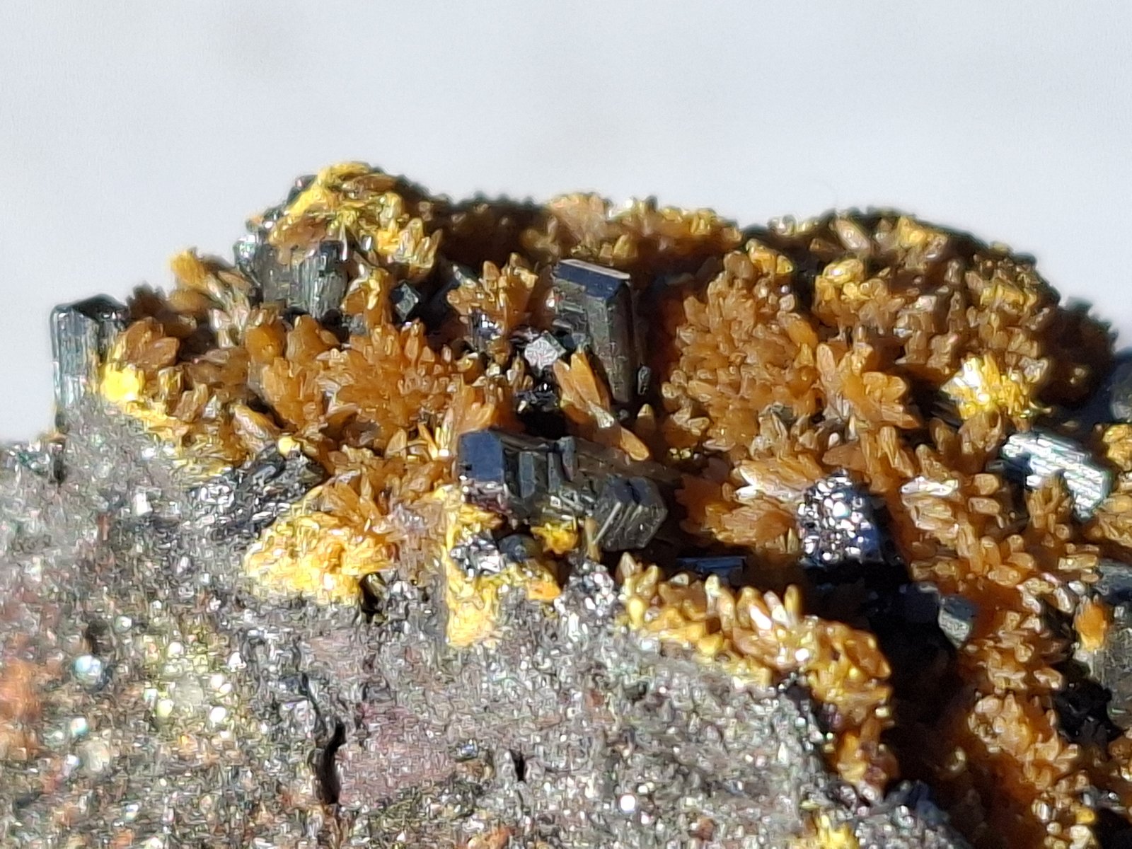Hutchinsonite, Orpiment
3,5 x 2,5 cm
(Autor: Volkmar Stingl)