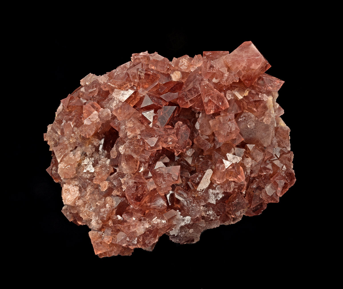 Spinel
20x16x12mm
(Autor: Carlos Pareja)