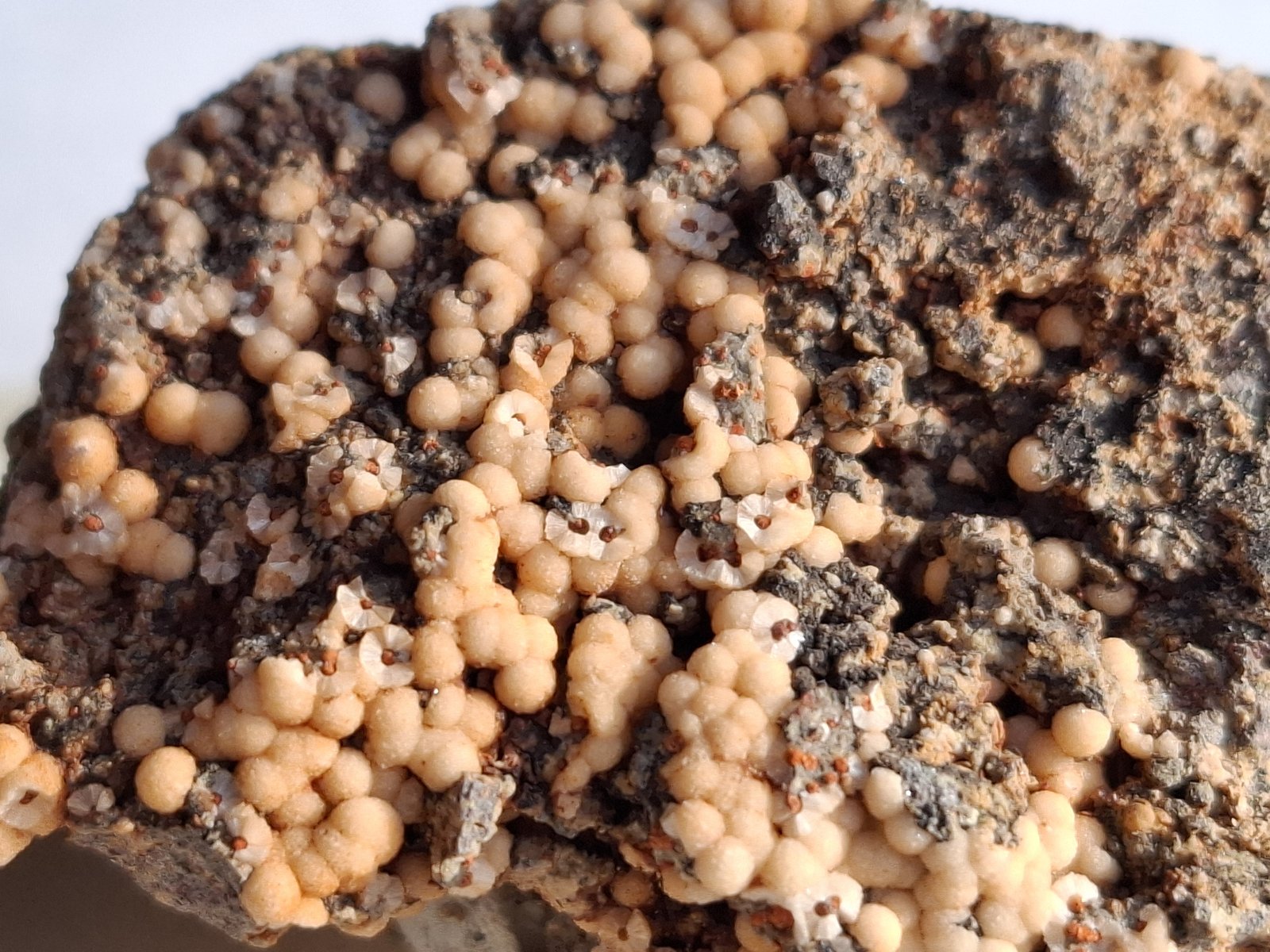 Harmotome
4,5 x 3 cm
(Autor: Volkmar Stingl)