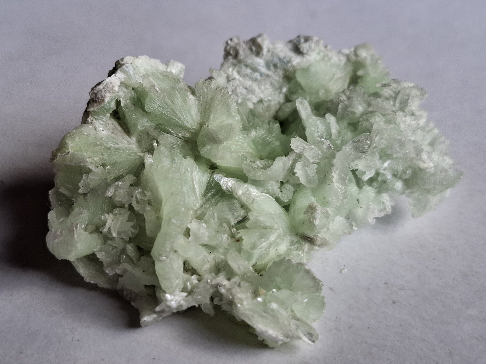 Talc
5,5 x 3,5 cm
(Autor: Volkmar Stingl)