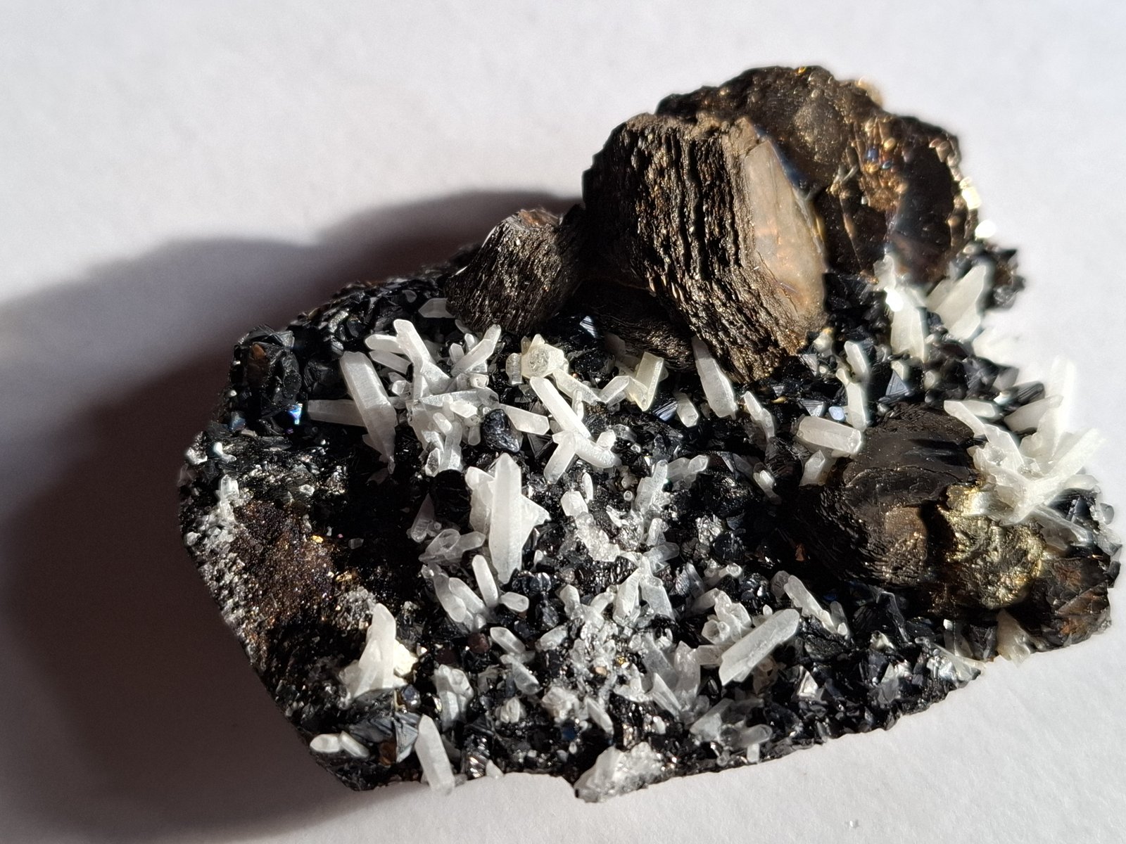Pyrrhotine, Sphalerite, Quartz
6 x 4 cm
(Autor: Volkmar Stingl)