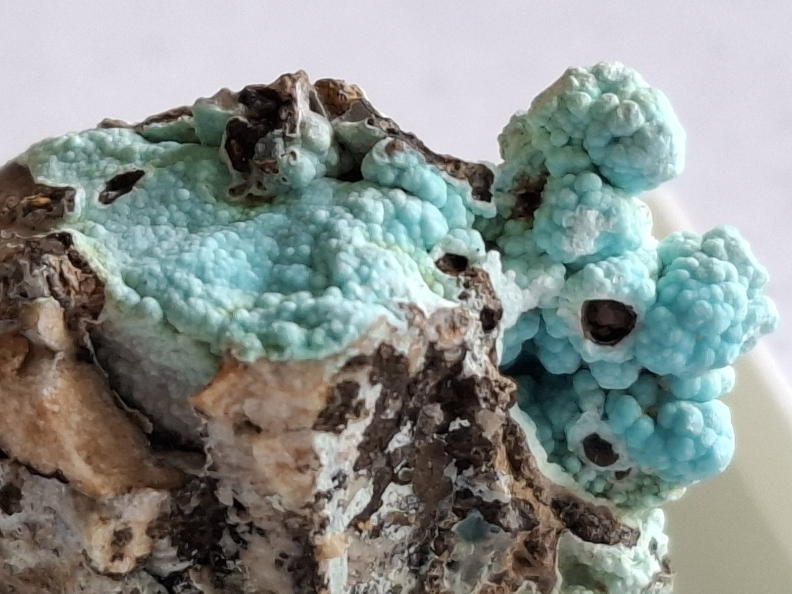 Natroglaucokerinite
3,5 x 1,5 cm
(Autor: Volkmar Stingl)