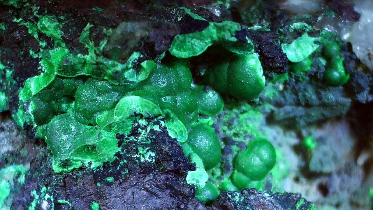 Malachite
c. 2 x 1,2 cm
(Autor: Volkmar Stingl)