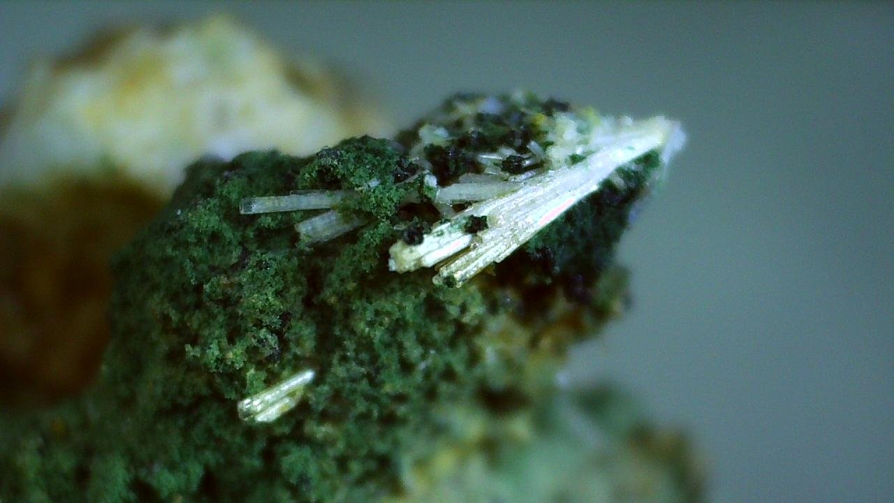 Milarite
Vezna, Zdar nad Sázàvou, Vysocina Region, Czech Republic
2 x 1 cm
(Autor: Volkmar Stingl)