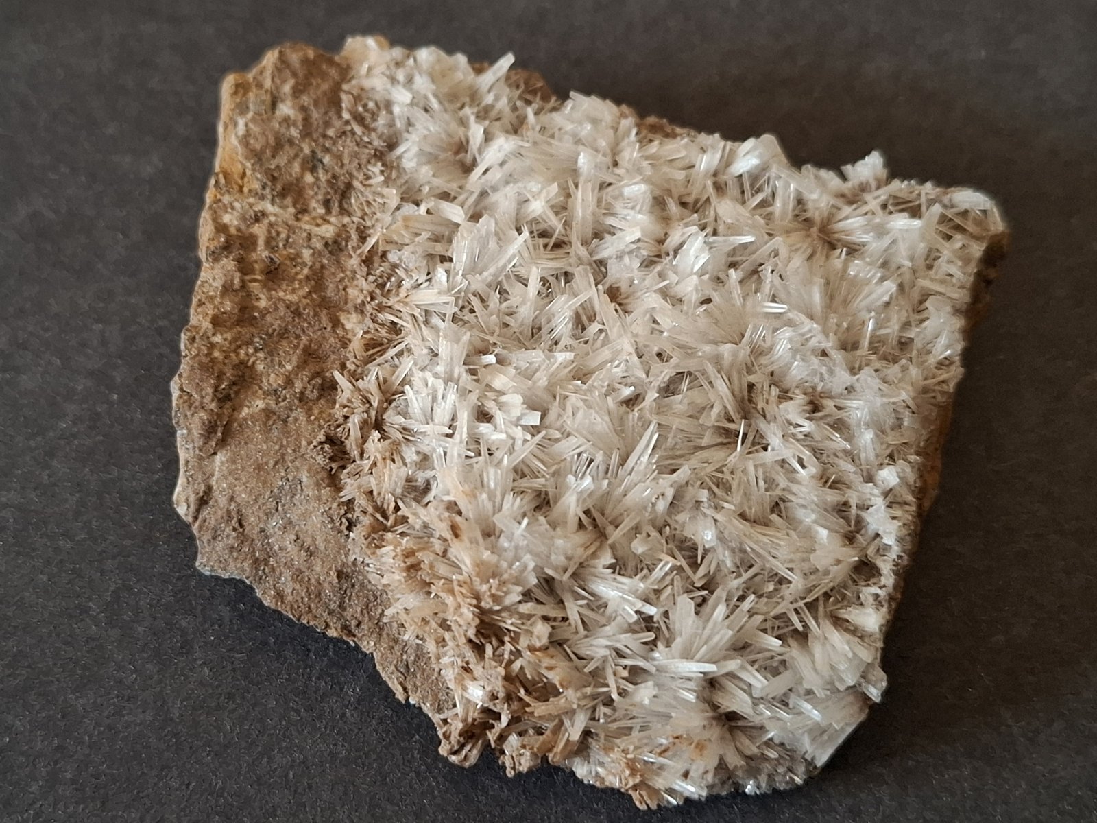 Aragonite
6,5 x 5,5 cm
(Autor: Volkmar Stingl)