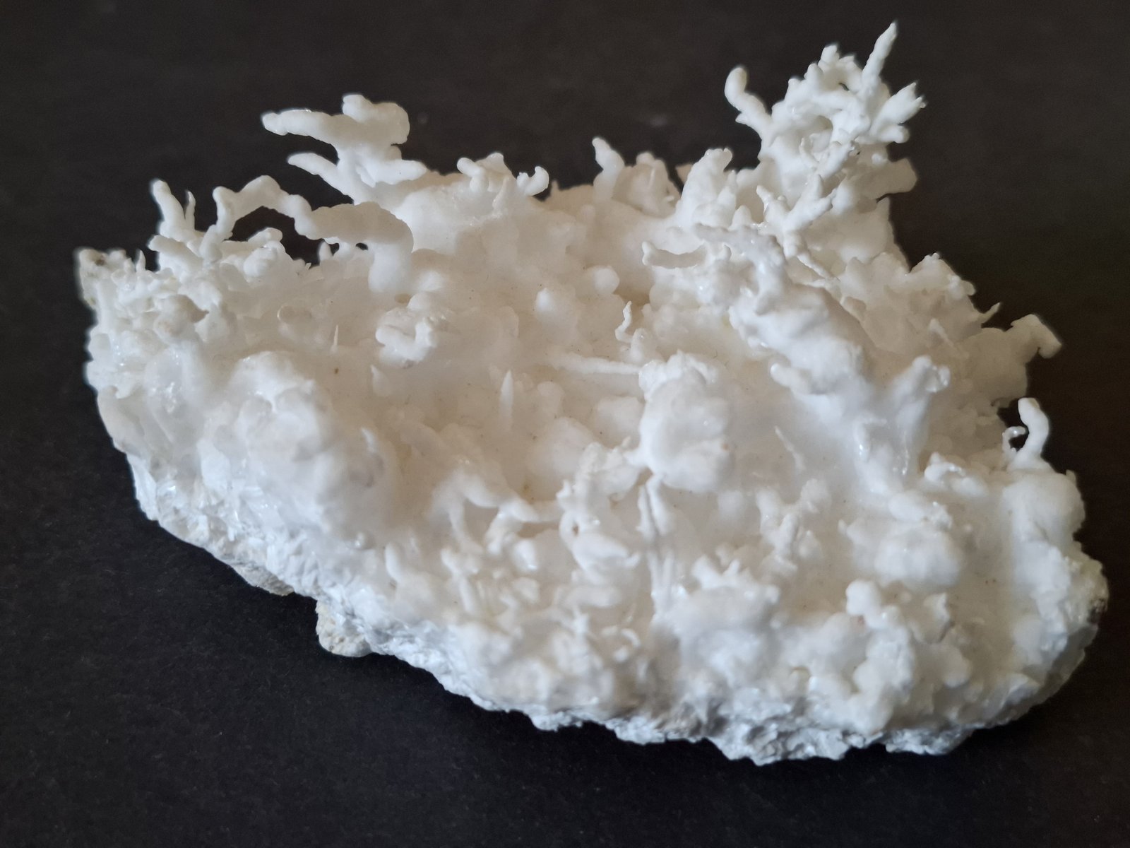 Aragonite (variety flos ferri)
9,5 x 6 cm
(Autor: Volkmar Stingl)