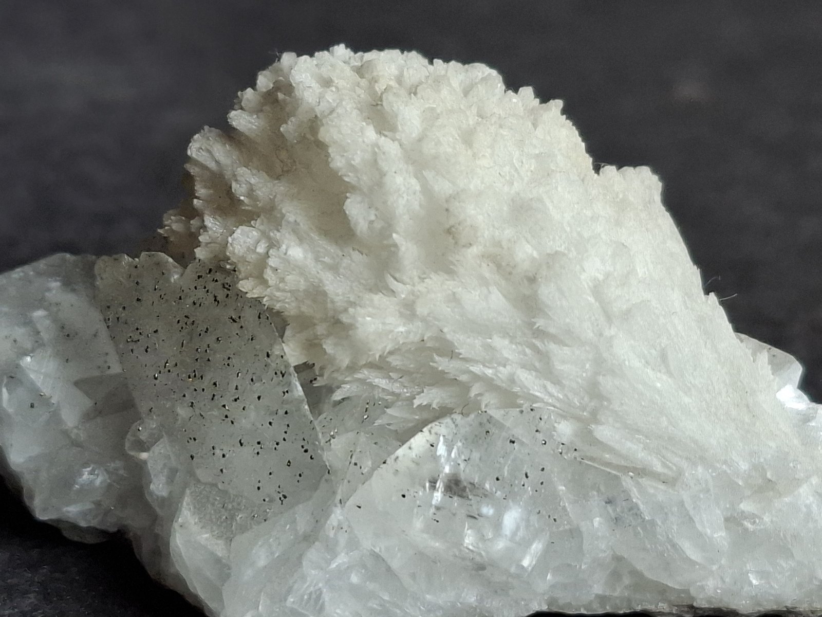 Strontianite, Calcite, Pyrite
5 x 2,5 cm
(Autor: Volkmar Stingl)