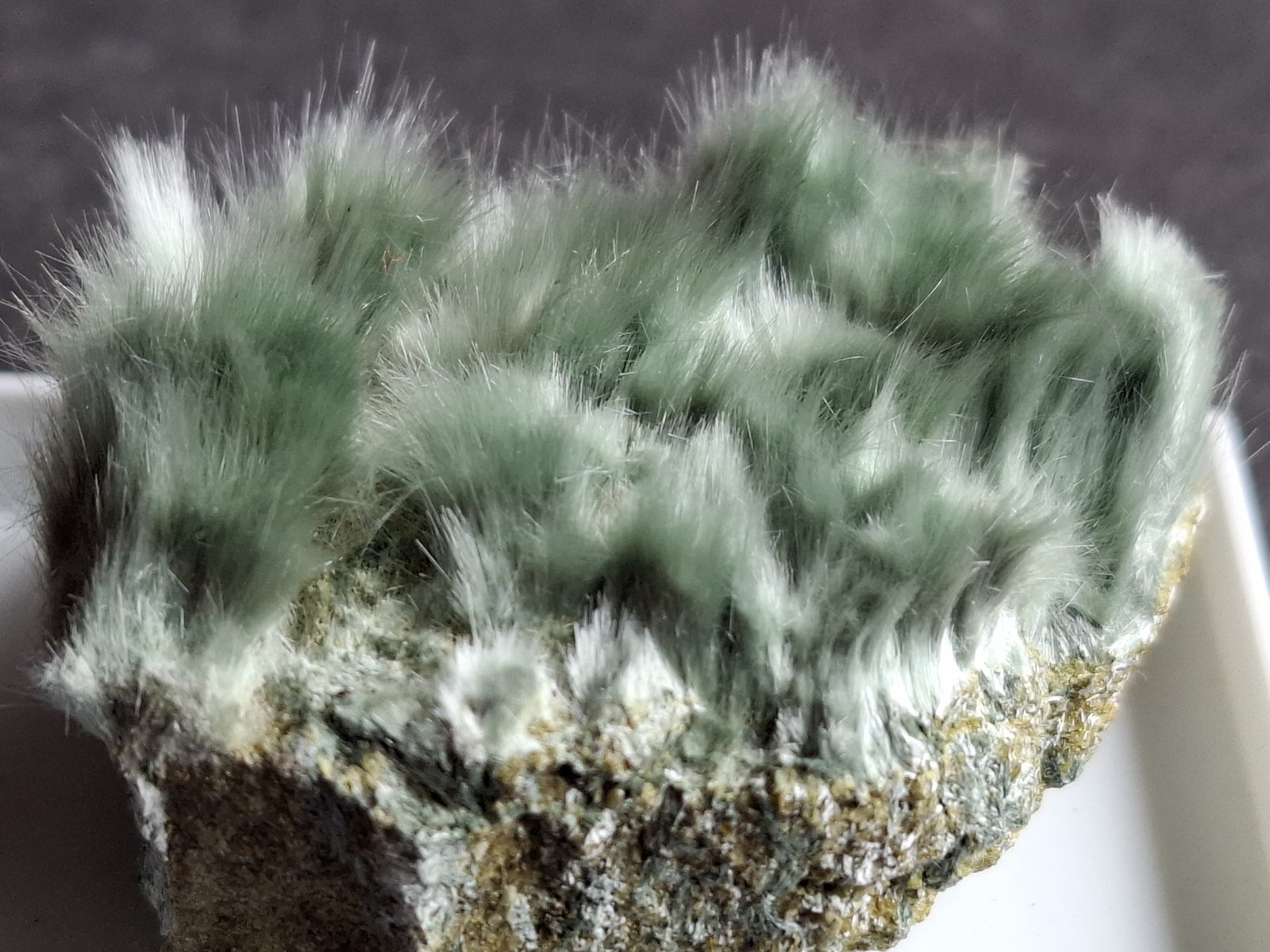 Actinolite (variety byssolite)
4 x 3 cm
(Autor: Volkmar Stingl)