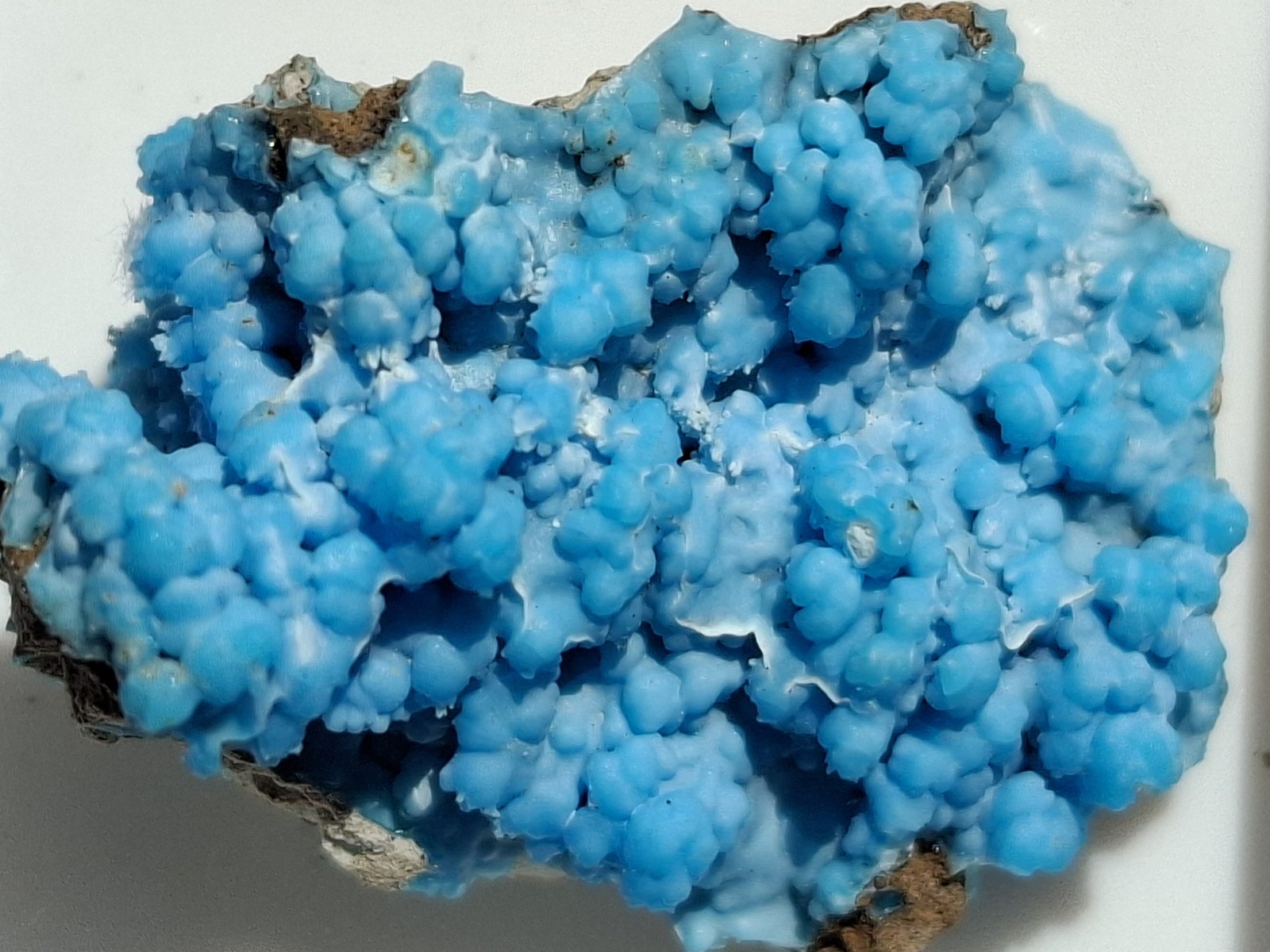 Gearksutite, Cupro-Allophane
2 x 1,5 cm
(Autor: Volkmar Stingl)
