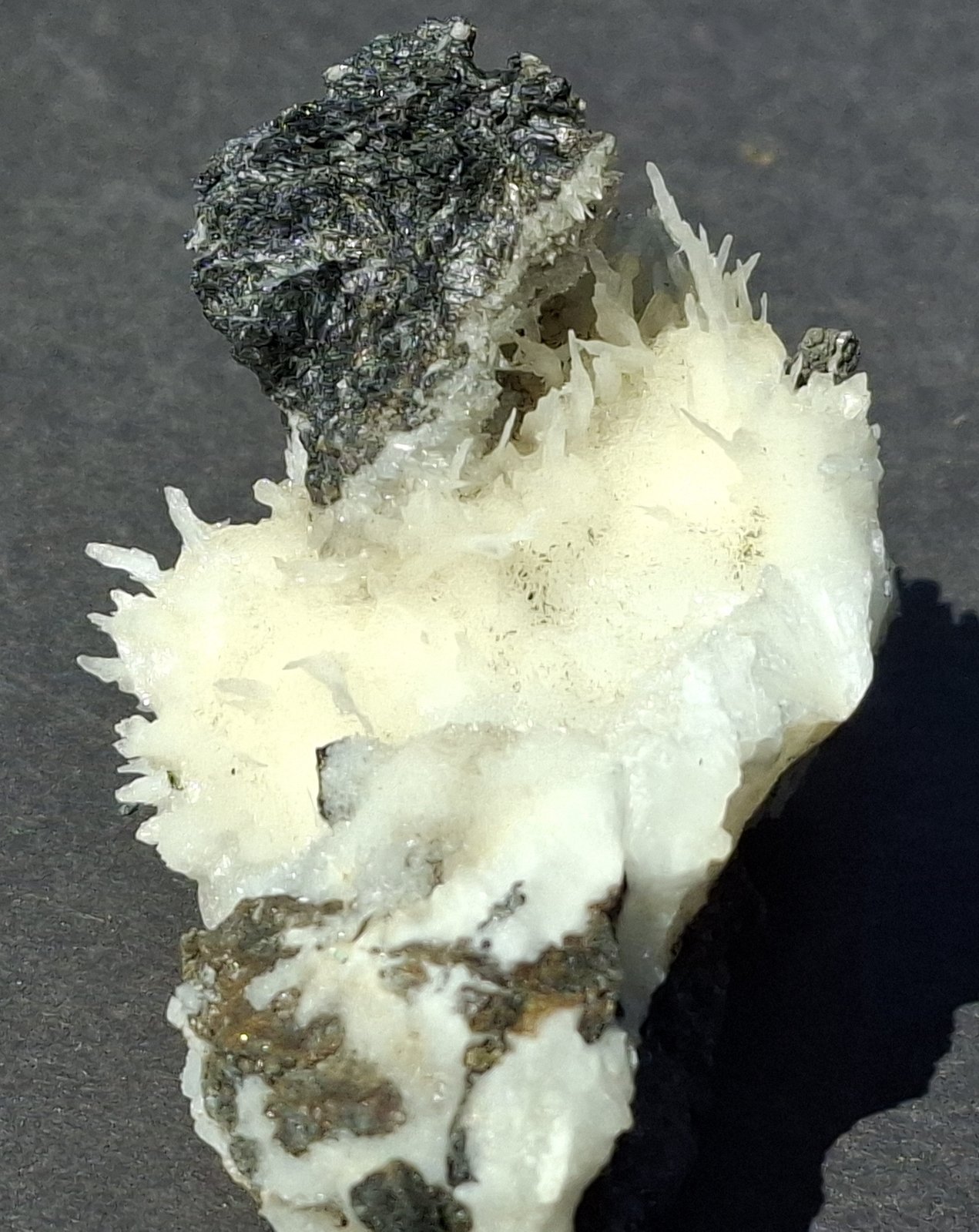 Aragonite (variety Flos Ferri)
Pfunds, Landeck District, Tyrol/Tirol, Austria
6 x 4 cm
(Autor: Volkmar Stingl)