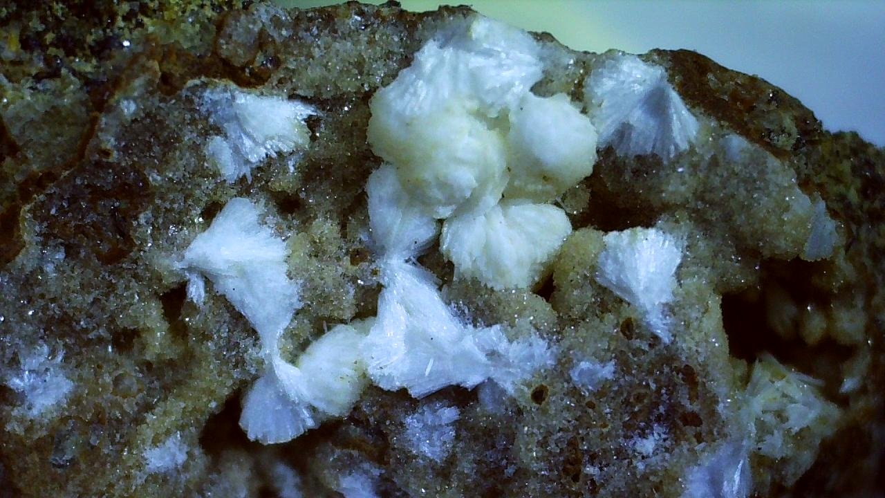 Gonnardite
1,5 x 1,2 cm
(Autor: Volkmar Stingl)