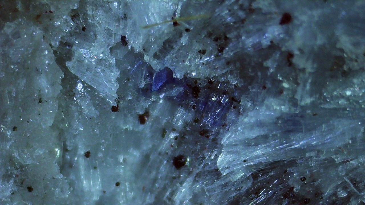 Sillimanite, Corundum (variety saphire), Magnetite
2,5 x 2,3 cm
(Autor: Volkmar Stingl)