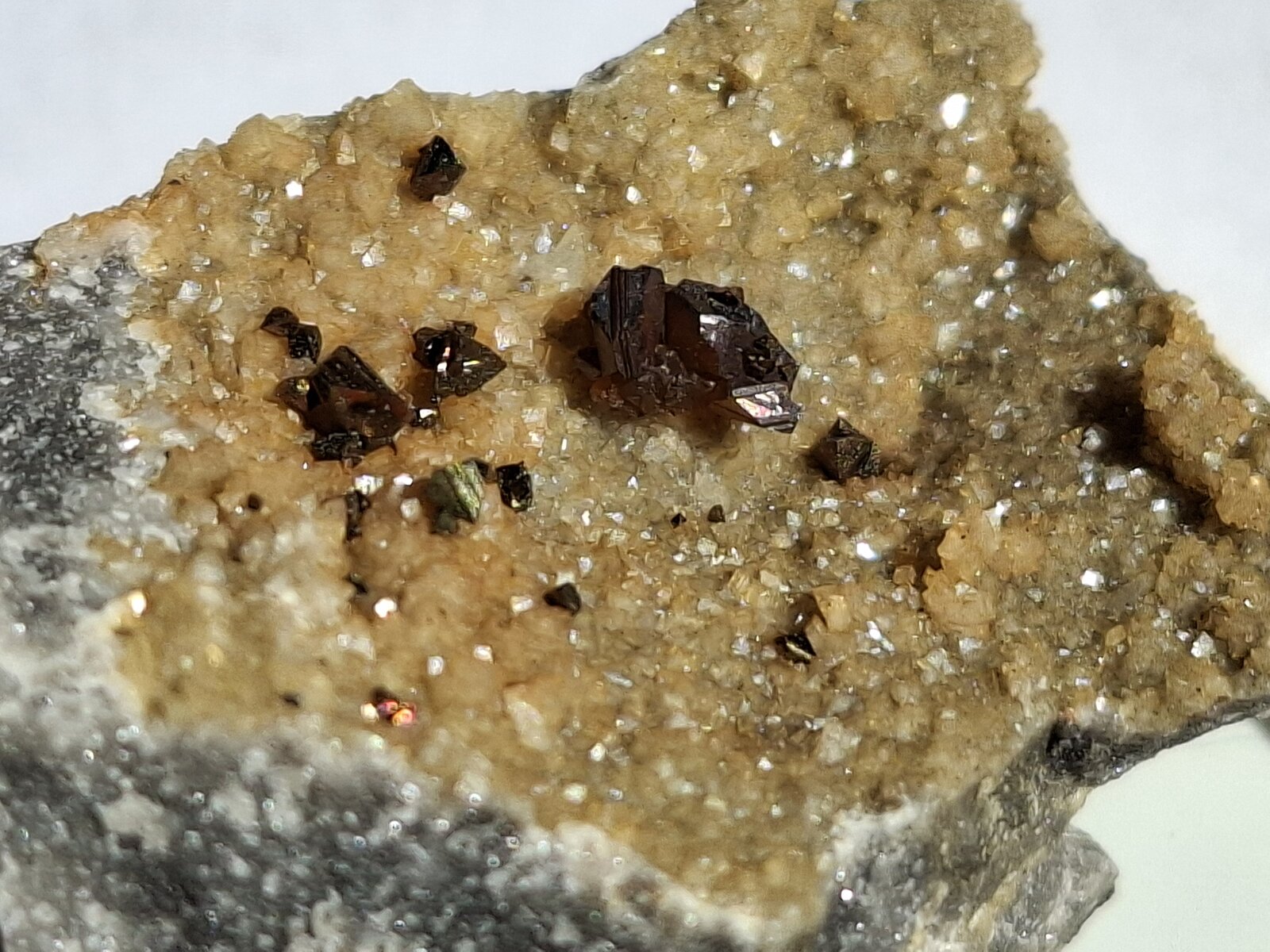 Sphalerite, Chalcopyrite, Dolomite
3 x 2 cm
(Autor: Volkmar Stingl)