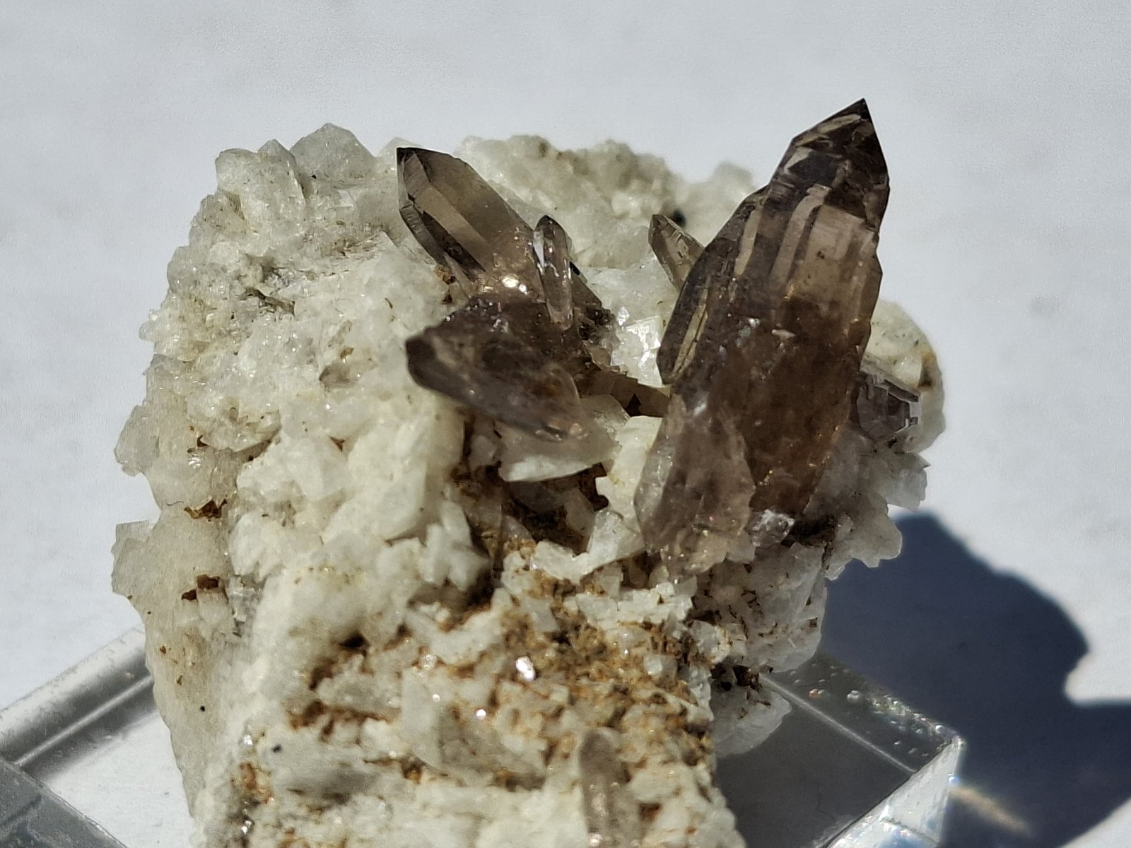 Quartz (variety smokey Quartz), Orthoclase (variety Adularia)
Untersulzbach Valley/Untersulzbachtal, Zell am See District, Salzburg, Austria
4 x 2,5 cm
(Autor: Volkmar Stingl)