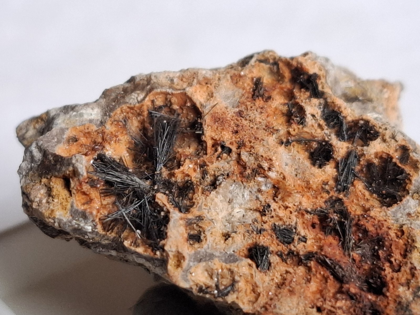 Pyrolusite
Monte Unturzu, Ittiri, Provincia Sassari, Cerdeña/Sardegna, Italia
FoV ca. 3 x 2,5 cm
(Autor: Volkmar Stingl)