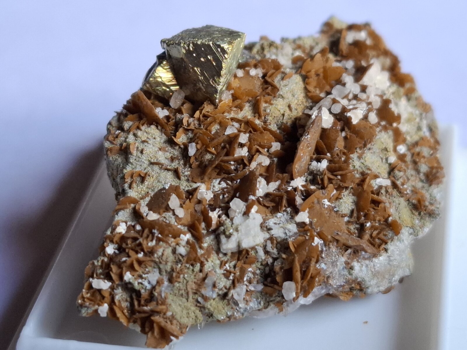 Siderite, Chalcopyrite, Calcite, Quartz
4 x 2,5 cm
(Autor: Volkmar Stingl)