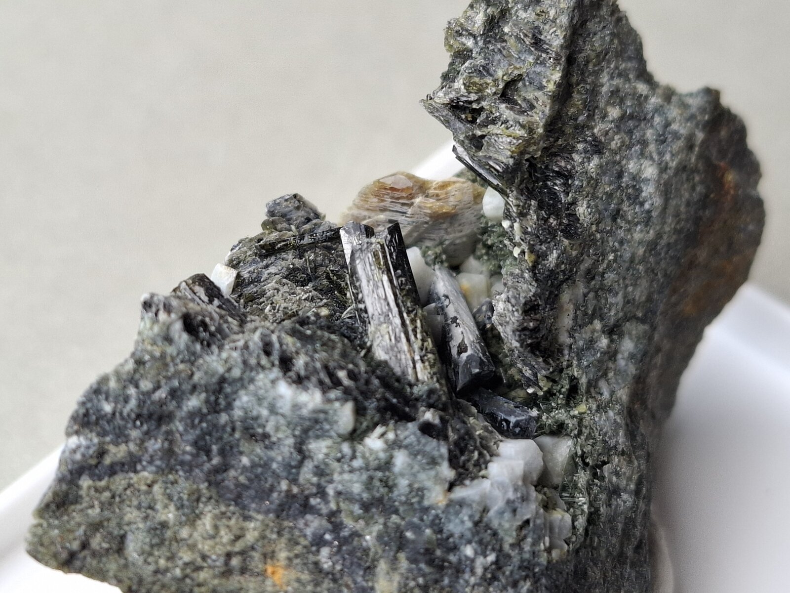 Actinolite (variety Uralite), Titanite
Toal d'Alochet, Moena, Trento Province, Trentino-Alto Adige (Trentino-Südtirol), Italy
4 x 3,5 cm
(Autor: Volkmar Stingl)