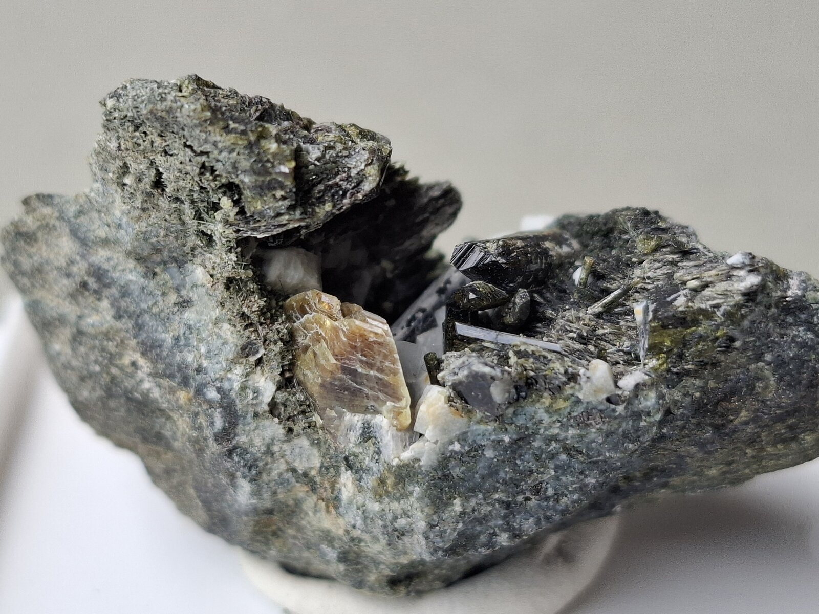 Actinolite (variety Uralite), Titanite
Toal d'Alochet, Moena, Trento Province, Trentino-Alto Adige (Trentino-Südtirol), Italy
4 x 3,5 cm
(Autor: Volkmar Stingl)