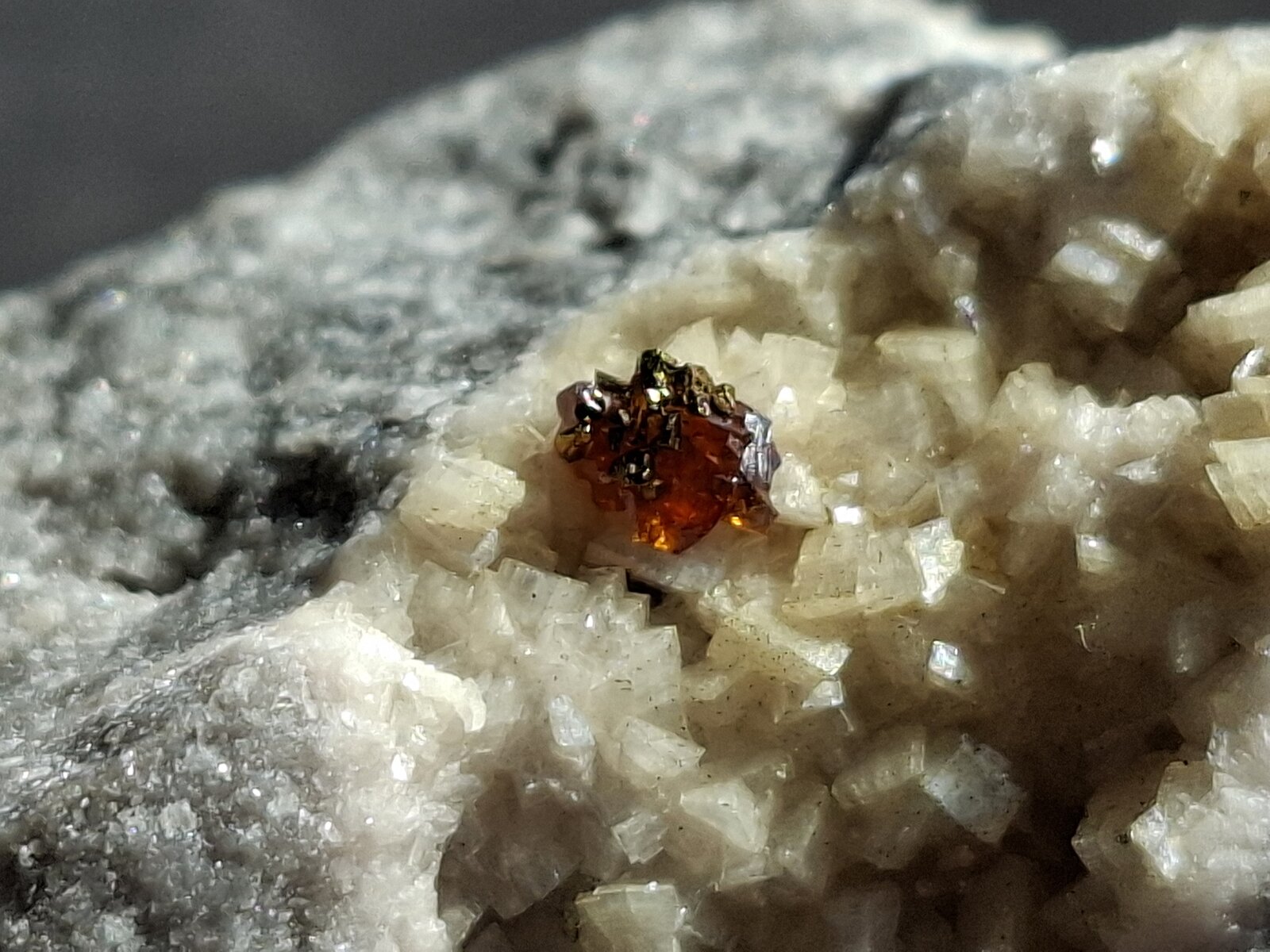 Sphalerite, Chalcopyrite, Dolomite
Cantera Schretzmair (Büschhof), Wirtenbach, Nümbrecht, Oberbergischen Kreis, Distrito administrativo Colonia, Renania del Norte-Westfalia/Nordrhein-Westfalen, Alemania
2 x 1,5 cm
(Autor: Volkmar Stingl)