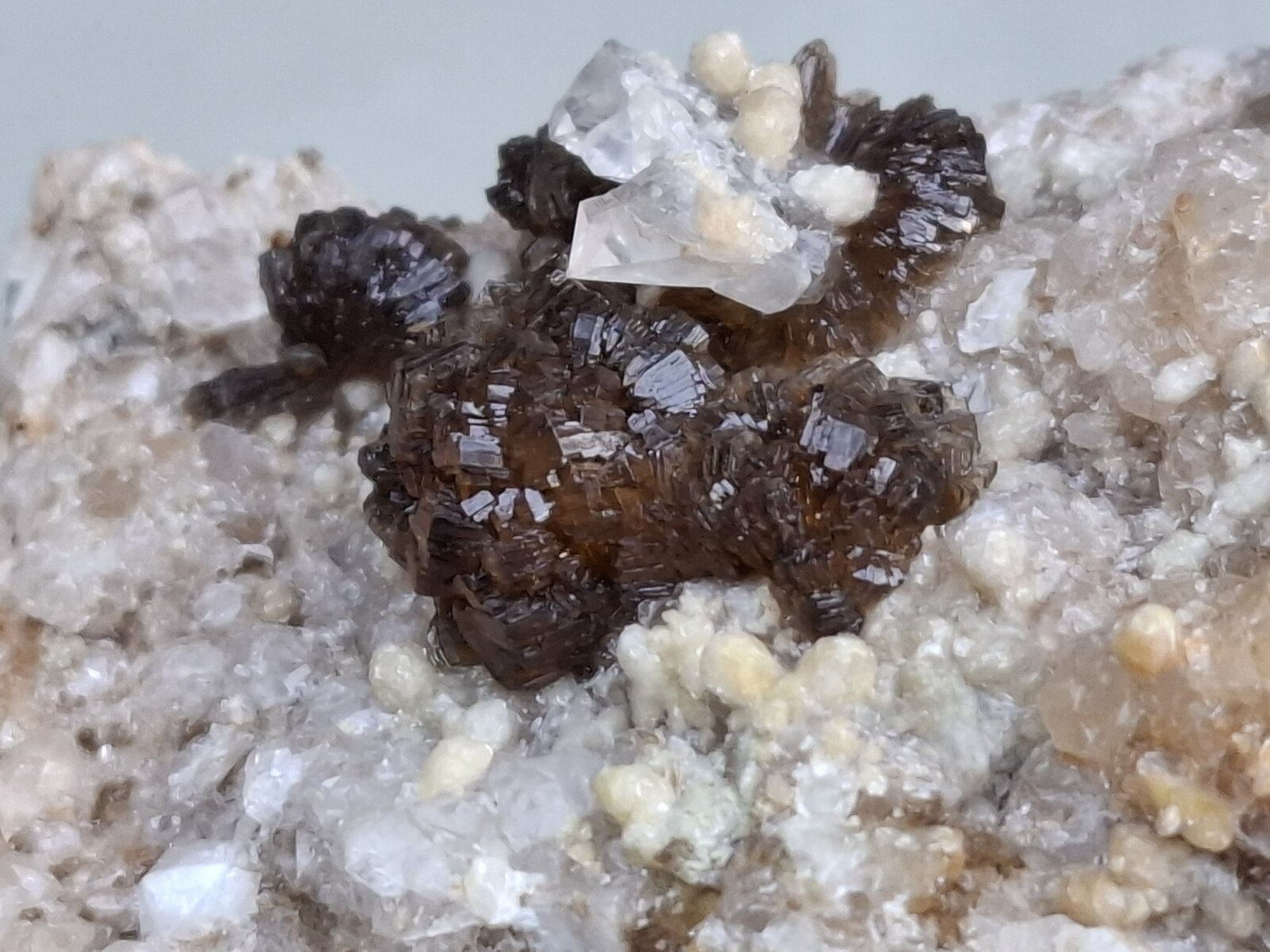 Hemimorphite, Calcite, Quartz
Is Murvonis Mine, Domusnovas, Sud Sardegna Province, Sardinia/Sardegna, Italy
8 x 5,5 cm
(Autor: Volkmar Stingl)