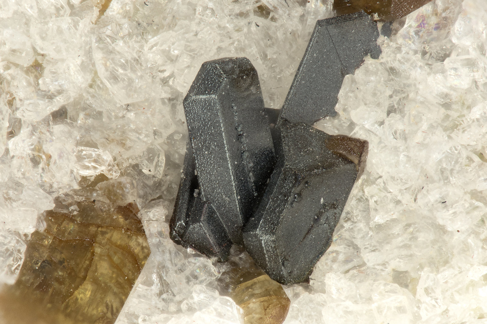 Ilmenite, Enstatite
FOV = 1.4 mm
(Autor: Doug)