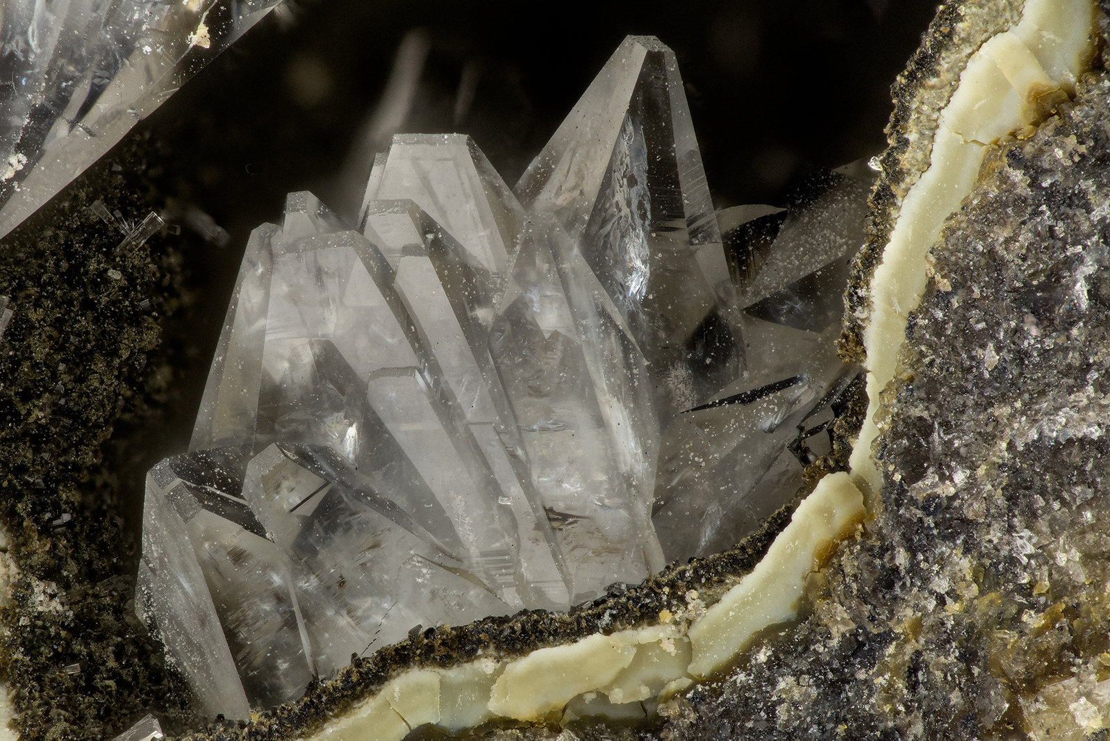 Tschernichite
FOV = 3.0 mm
(Autor: Doug)