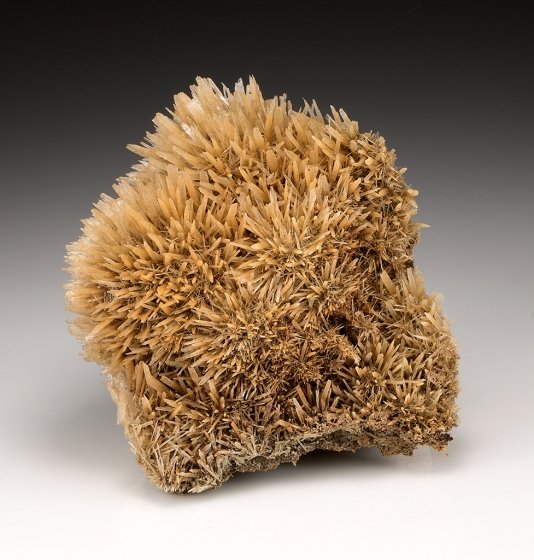 Gypsum
7.0cm x 6.0cm
(Autor: rweaver)