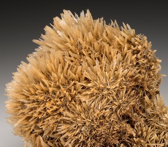 Gypsum
7.0cm x 6.0cm
(Autor: rweaver)