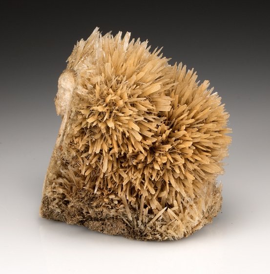Gypsum
7.0cm x 6.0cm
(Autor: rweaver)
