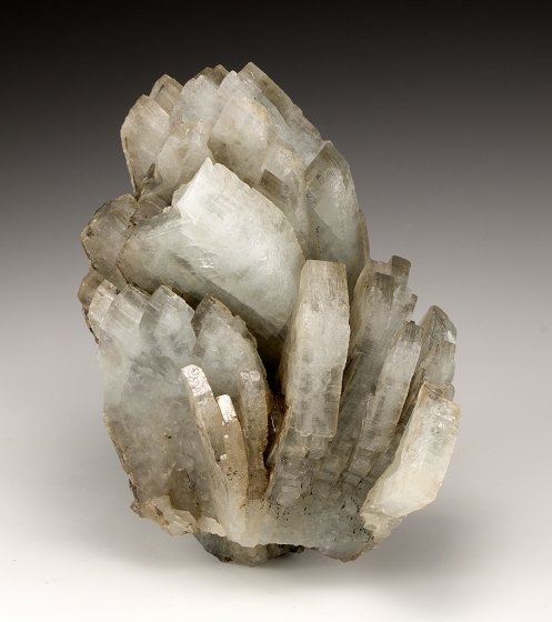 Baryte
8.0cm x 7.0cm
(Autor: rweaver)
