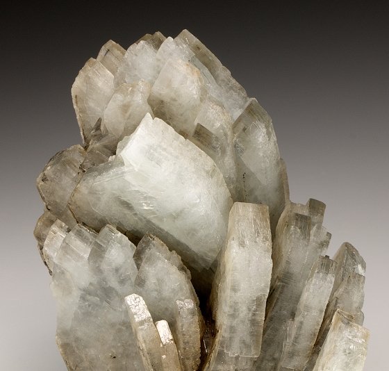 Baryte
8.0cm x 7.0cm
(Autor: rweaver)