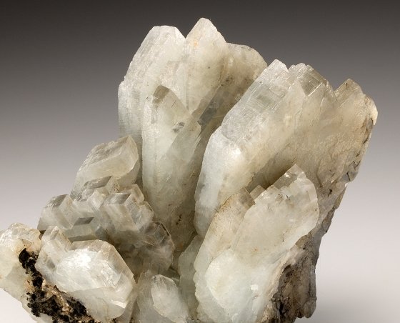 Baryte
8.0cm x 7.0cm
(Autor: rweaver)