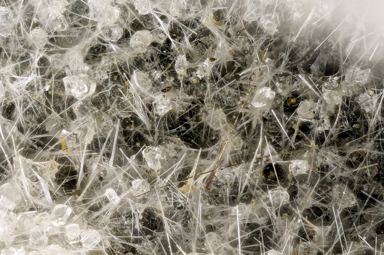 Erionite-K, Clinoptilolite-Ca, Pyrite
FOV = 2.8 mm
(Autor: Doug)