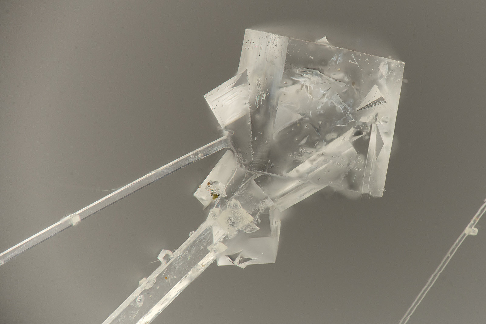 'Chabazite', Mesolite
FOV = 1.4 mm
(Autor: Doug)