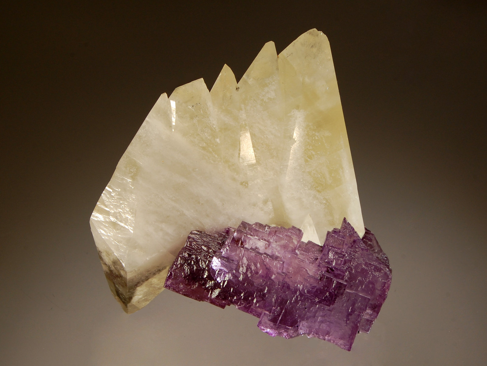 (Autor: Michael Shaw)