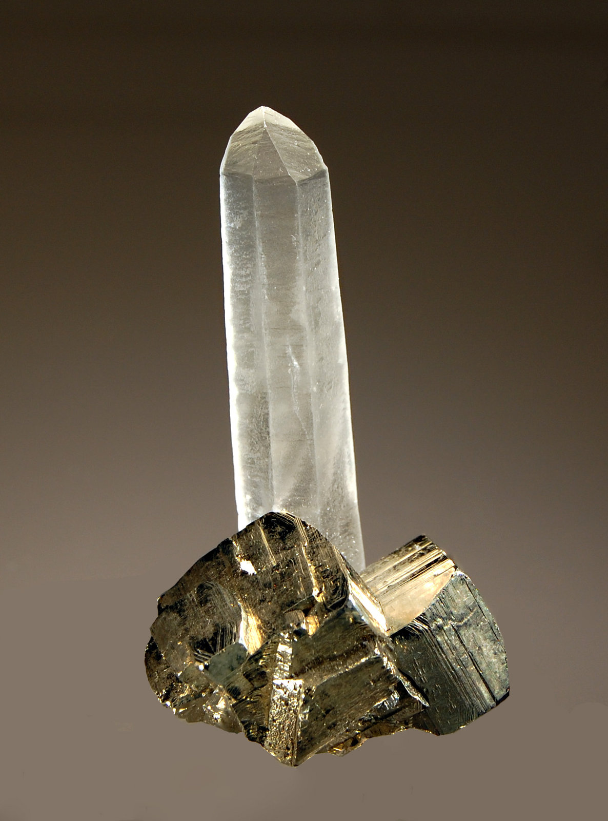 Quartz and Pyrite
3.1 x 6.5 cm
(Autor: Michael Shaw)